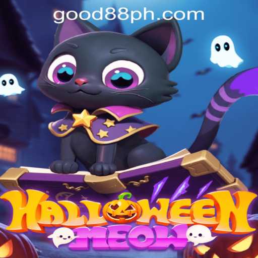Unveiling HalloweenMeow: The Spooky Saga of Fun and Frights